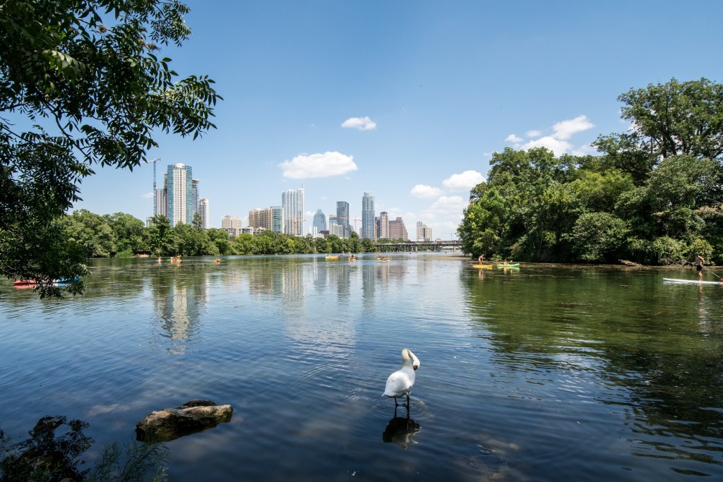 Austin's Lady Bird Lake is an urban oasis. Flowing right through downtown, this section of the Colorado River offers kayakers and other adventurers the opportunity to stay active in the shadow of the city skyline.